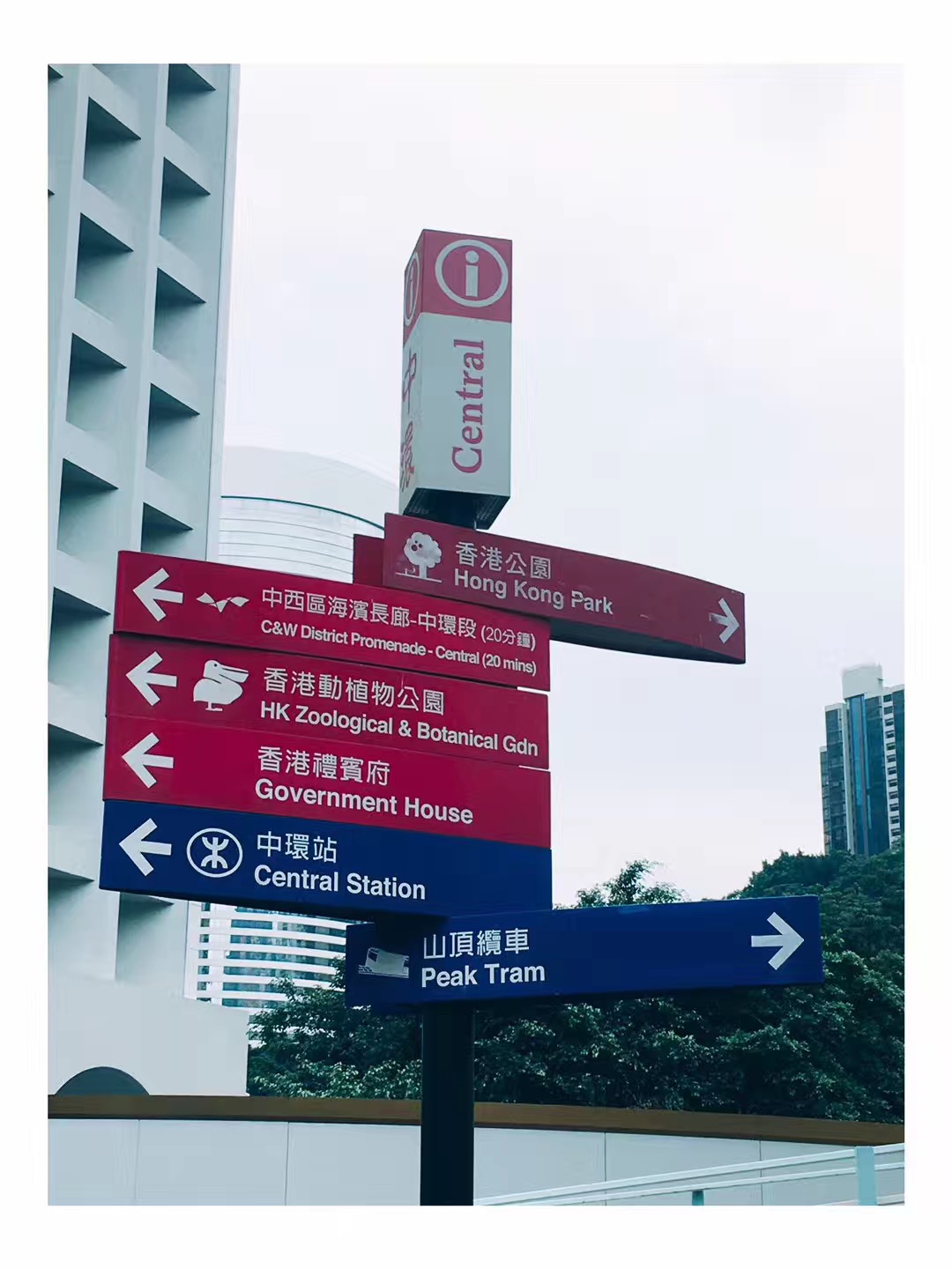 香港DSE可以報(bào)考內(nèi)地大學(xué)嗎？揭秘跨境高考的真實(shí)機(jī)會(huì)